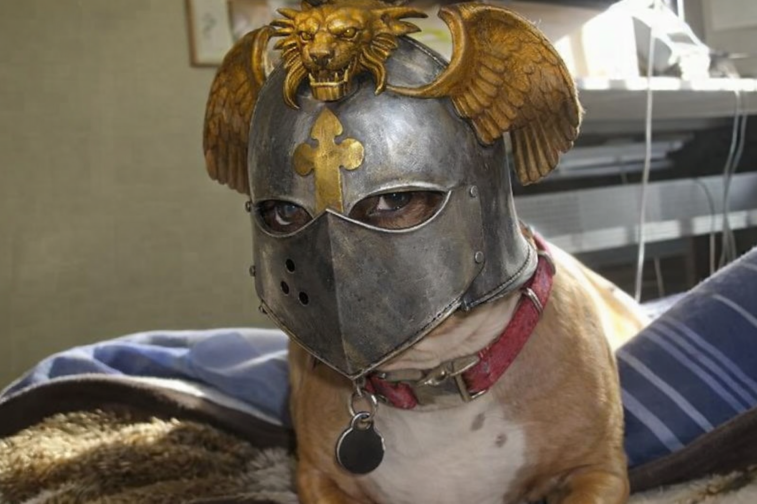 Space Marines: Primaris Intercessors